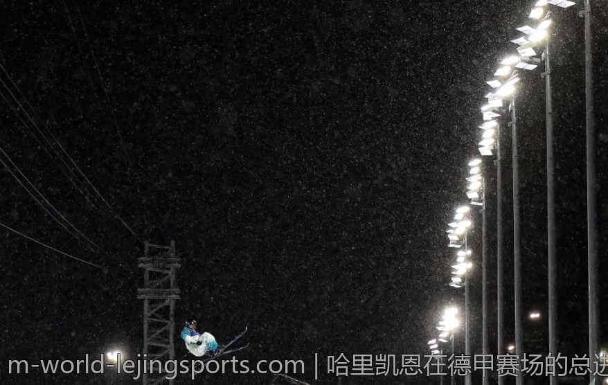 哈里凯恩在德甲赛场的总进球数全景分析