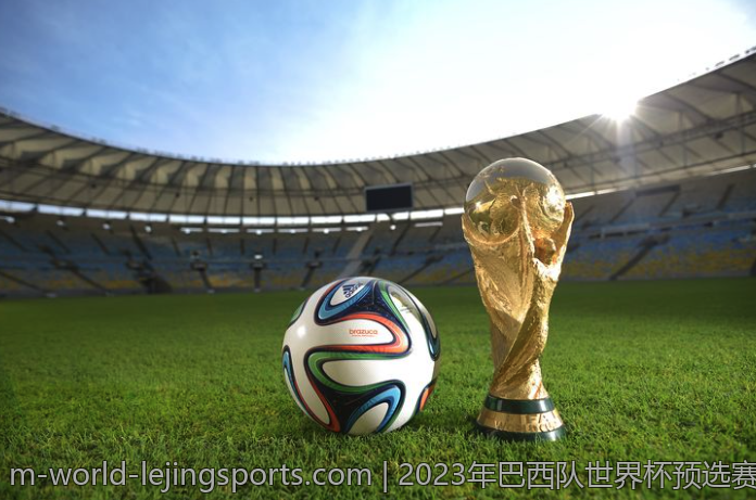 2023年巴西队世界杯预选赛全面回顾与分析